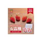 いちご しあわせ届けるいちご農園HappyComeComeのいちご4品…