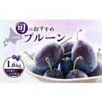 果物類 2026年発送 9月後半~ プルーン1.6kg 400g×4パック