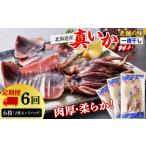 イカ 毎月届く 真いかの一夜干し定期便 全6回