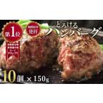 ふるさと納税 肉 ハンバーグ 神奈川県 相模原市 とろけるハンバーグ10個セット ｜ 国産牛100％ 黒毛和牛 冷凍