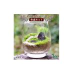 花 苗木 はじめての苔テラリウムにピッタリの作成キット