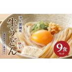 うどん 生 半生めん 本家 池上製麺所 生うどん9食