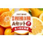 みかん 柑橘類 S040-T02A_ 定期便3回