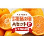 みかん 柑橘類 S040-T05A_ 定期便2回