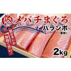 マグロ 訳あり メバチマグロ 腹身 部分 まぐろ