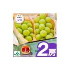 ふるさと納税 ぶどう マスカット 長野県 中野市 2025年発送 シャインマスカット2房1kg以上 JA中野市から直送 1272457