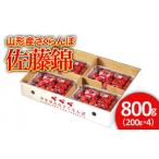 ふるさと納税 果物類 さくらんぼ 山形県 山形市 山形産 さくらんぼ 佐藤錦 800g(200g×4パック) 令和7年産先行予約 FU21-662 フルーツ くだもの 果物 山形 山…