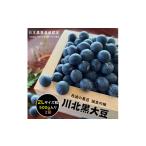 豆類 枝豆 秋の味覚 丹波黒枝豆 フレッシュな甘み 500g×2袋