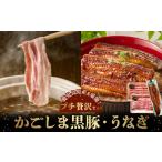 うなぎ かごしま黒豚しゃぶしゃぶ用2パック