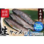 旬の鮮魚等 生ヤマメ 1kg