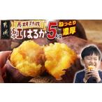 野菜類 サツマイモ 都城産 長期熟成紅はるか 5kg