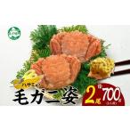 ふるさと納税 カニ 毛ガニ 北海道 弟子屈町 2458.カニ 蟹 毛蟹 2尾 計700g前後 食べ方ガイド・専用ハサミ付 カニ かに 蟹 海鮮 ボイル 送料無料 25000円 北海…