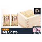 ふるさと納税 玄米 秋田県 横手市  玄米 令和7年産 横手市産 あきたこまち 10kg（5kg×2袋）