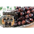豆類 大豆 和知黒淡煮 生産地域 厳選 丹波黒大豆