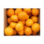 ふるさと納税 みかん・柑橘類 和歌山県 那智勝浦町 和歌山由良町産さつきはっさく 約10kg ［訳あり ご家庭用 赤秀・青秀］サイズ混合 ［SL42］