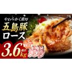 五島豚 極厚ロース1.2kg 200g×6枚