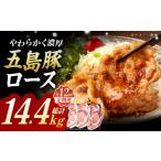五島豚 極厚ロース1.2kg 200g×6枚