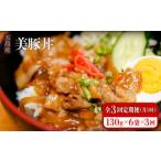 惣菜 レトルト 冷凍 全3回定期便 五島産 豚肉