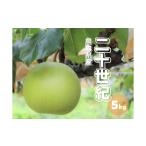 ふるさと納税 梨 鳥取県 江府町 二十世紀梨 秀 約5kg 10〜20玉前後 鳥取県産 先行予約受付 2025年秋収穫分 なし5キロ TM23 0679