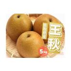 ショッピングふるさと納税 梨 ふるさと納税 梨 鳥取県 江府町 王秋 梨 5kg 5~16玉前後 鳥取県産 先行予約受付 2026年秋冬収穫分 なし5キロ TM34 0690