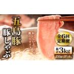 五島豚の豚しゃぶ500g 250g×2パック