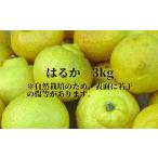 みかん 柑橘類 オレンジ R9.1月~発送