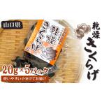 野菜類 きのこ 乾燥きくらげ 20g×5パック