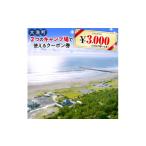 ふるさと納税 大洗 キャンプ場 クーポン券 3000円分(1000円×3枚) 大洗サンビーチキャンプ場 大洗キャンプ場 チケット 利用券 アウトドア 旅行