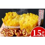 野菜類 サツマイモ isa328 ふみおじいちゃんのやきいも
