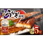 ふるさと納税 うなぎ 鹿児島県 鹿屋市 1633 鹿児島県大隅産うなぎ蒲焼5尾（750g）　KN007-005-01