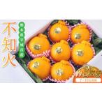 ふるさと納税 みかん・柑橘類 デコポン 熊本県 宇城市 先行予約 不知火 約3kg 2026年2月下旬から2026年4月上旬発送予定 しらぬい 蜜柑 熊本県産 九州産 国産 …
