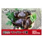 ふるさと納税 カニ 沖縄県 宮古島市 メディア出演多数 蟹蔵のマングローブ蟹