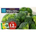 野菜類 冷凍ブロッコリー 200g
