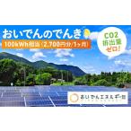 電気 電力 地域電力 おいでんのでんき100kWh相当