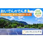 電気 電力 地域電力 おいでんのでんき300kWh相当