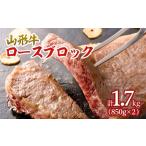 牛肉 ロース 山形牛 エアーズロック 計1.7kg