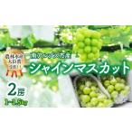 ショッピングふるさと納税 シャインマスカット ふるさと納税 山梨県 南アルプス市 5-152 【2024年先行受付】【農林水産大臣賞受賞!!】シャインマスカット 2房 1〜1.5kg