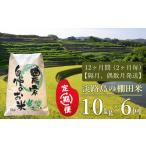 米 コシヒカリ 定期便 淡路島の棚田米 10kg×6回