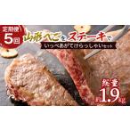 牛肉 ステーキ 定期便5回 山形べごを でいっぺあがてけらっ…