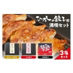 ふるさと納税 餃子 山形県 東根市 ひろしの餃子 満喫セット(もちチーズ餃子10個、特製餃子16個、えび餃子20個) A-0833
