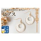 ふるさと納税 アクセ