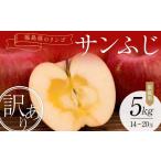 ふるさと納税 りんご 福島県 須賀川市 訳あり家庭用りんご 福島県のリンゴ サンふじ約5kg(14〜20玉) F7X-0014