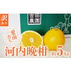 ふるさと納税 みかん