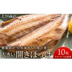 干物 ホッケ 大きい開きほっけ10枚セット