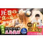 豚肉 バラ 3回定期便 五島美豚焼肉1kg