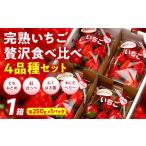 ふるさと納税 いちご 福島県 伊達市 完熟 いちご 贅沢食べ比べ 4品種セット(1箱) とちおとめ ふくはる香 紅ほっぺ おいCベリー イチゴ 苺 いちご F20C-533