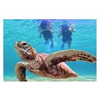 fu.... налог body . билет Okinawa префектура . старый остров город . старый остров. природа . полный .. старый остров половина день Acty biti