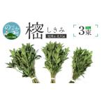 花 苗木 しきみ樒50cm N029-YA0147