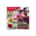 花 12回定期便 COLOR S12 色で飾るフラワーアレンジ