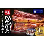 うなぎ 蒲焼 3尾